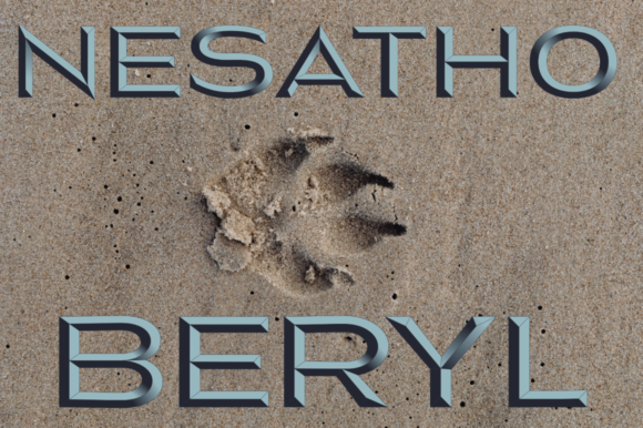 Nesatho-Beryl: A Bold Color Font for Modern Design
